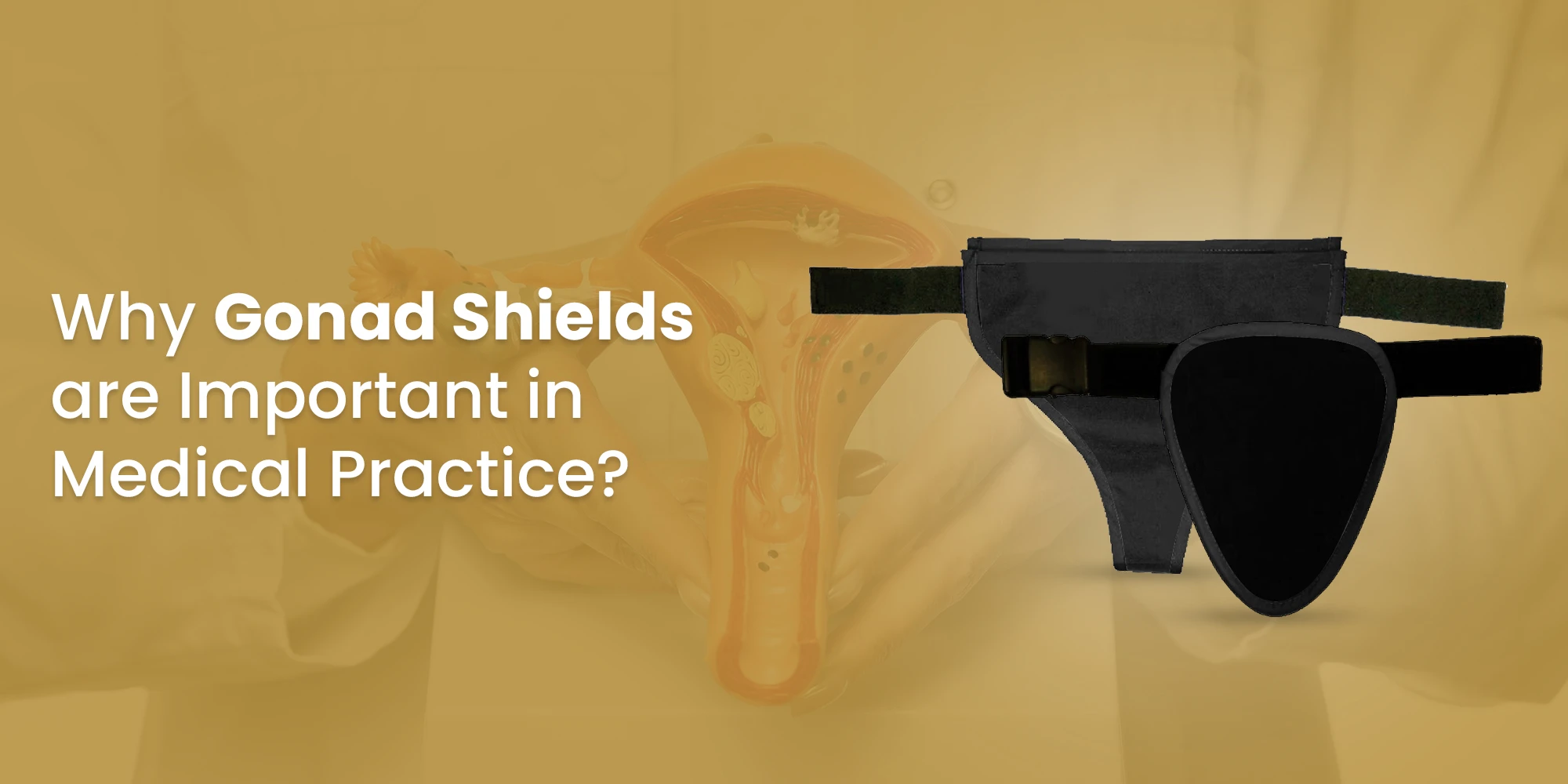 Gonad shield protecting reproductive organs